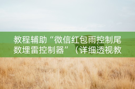 教程辅助“微信红包雨控制尾数埋雷控制器”（详细透视教程）-哔哩哔哩