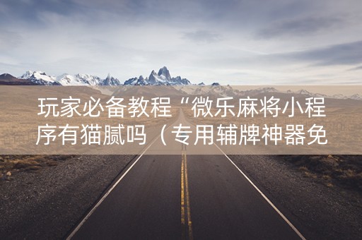 玩家必备教程“微乐麻将小程序有猫腻吗（专用辅牌神器免安装）