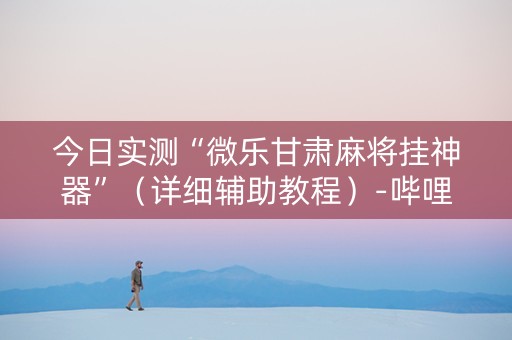 今日实测“微乐甘肃麻将挂神器”（详细辅助教程）-哔哩哔哩