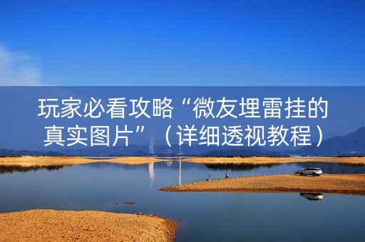 玩家必看攻略“微友埋雷挂的真实图片”（详细透视教程）-哔哩哔哩