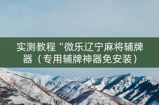 实测教程“微乐辽宁麻将辅牌器（专用辅牌神器免安装）