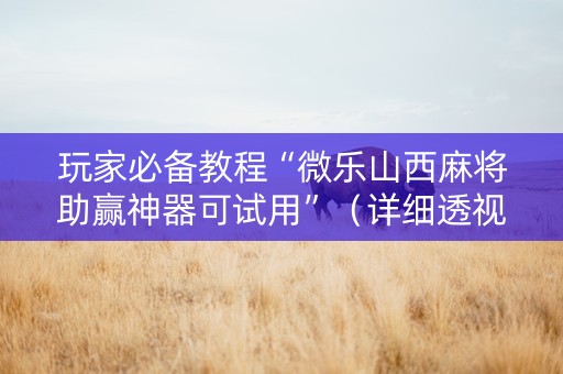 玩家必备教程“微乐山西麻将助赢神器可试用”（详细透视教程）-哔哩哔哩