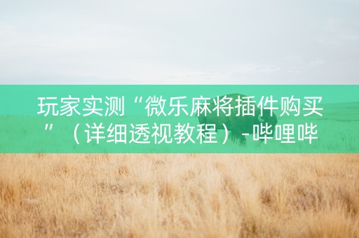 玩家实测“微乐麻将插件购买”（详细透视教程）-哔哩哔哩