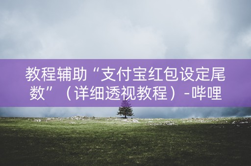 教程辅助“支付宝红包设定尾数”（详细透视教程）-哔哩哔哩