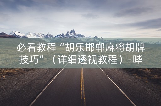 必看教程“胡乐邯郸麻将胡牌技巧”（详细透视教程）-哔哩哔哩