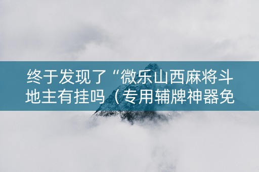 终于发现了“微乐山西麻将斗地主有挂吗（专用辅牌神器免安装）