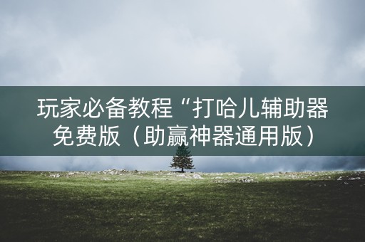 玩家必备教程“打哈儿辅助器免费版（助赢神器通用版）