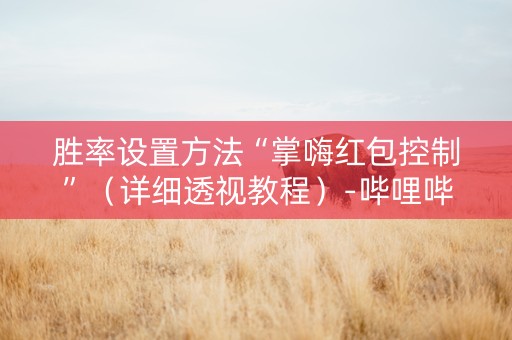 胜率设置方法“掌嗨红包控制”（详细透视教程）-哔哩哔哩