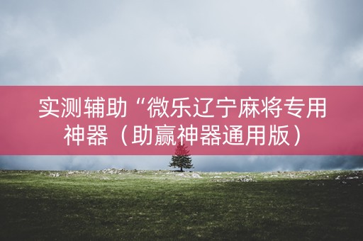 实测辅助“微乐辽宁麻将专用神器（助赢神器通用版）