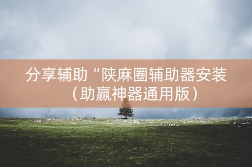 分享辅助“陕麻圈辅助器安装（助赢神器通用版）