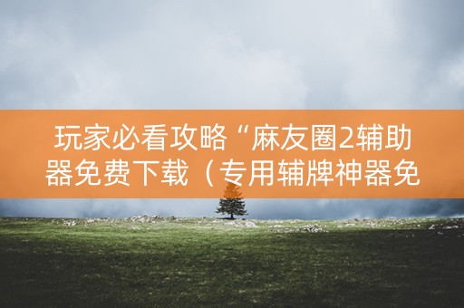 玩家必看攻略“麻友圈2辅助器免费下载（专用辅牌神器免安装）