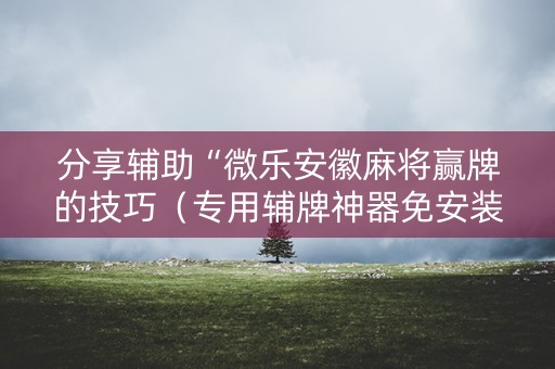 分享辅助“微乐安徽麻将赢牌的技巧（专用辅牌神器免安装）
