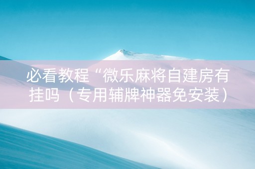 必看教程“微乐麻将自建房有挂吗（专用辅牌神器免安装）