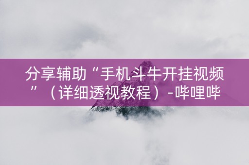 分享辅助“手机斗牛开挂视频”（详细透视教程）-哔哩哔哩