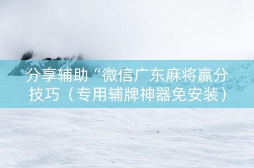 分享辅助“微信广东麻将赢分技巧（专用辅牌神器免安装）