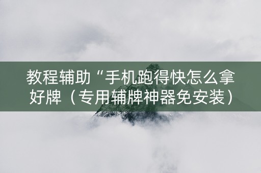 教程辅助“手机跑得快怎么拿好牌（专用辅牌神器免安装）