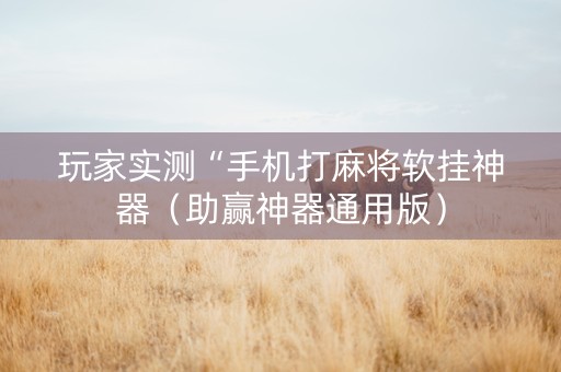 玩家实测“手机打麻将软挂神器（助赢神器通用版）