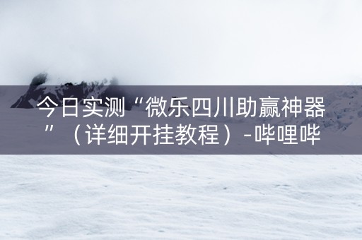 今日实测“微乐四川助赢神器”（详细开挂教程）-哔哩哔哩