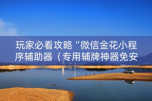 玩家必看攻略“微信金花小程序辅助器（专用辅牌神器免安装）