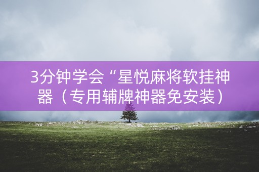 3分钟学会“星悦麻将软挂神器（专用辅牌神器免安装）