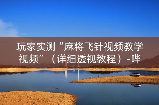 玩家实测“麻将飞针视频教学视频”（详细透视教程）-哔哩哔哩