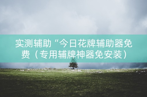 实测辅助“今日花牌辅助器免费（专用辅牌神器免安装）