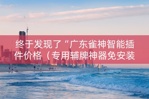 终于发现了“广东雀神智能插件价格（专用辅牌神器免安装）