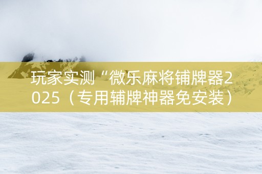 玩家实测“微乐麻将铺牌器2025（专用辅牌神器免安装）