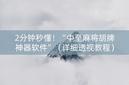 2分钟秒懂！“中至麻将胡牌神器软件”（详细透视教程）-哔哩哔哩