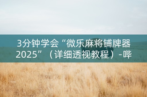 3分钟学会“微乐麻将铺牌器2025”（详细透视教程）-哔哩哔哩