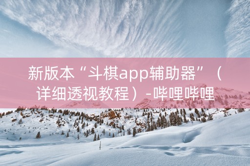 新版本“斗棋app辅助器”（详细透视教程）-哔哩哔哩