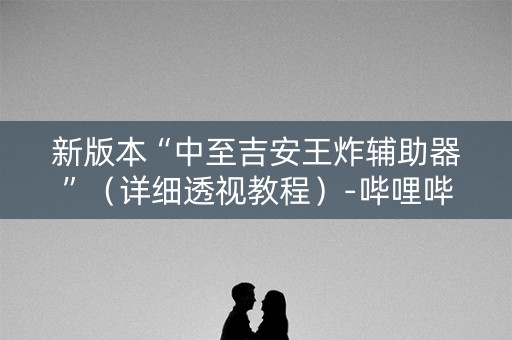 新版本“中至吉安王炸辅助器”（详细透视教程）-哔哩哔哩