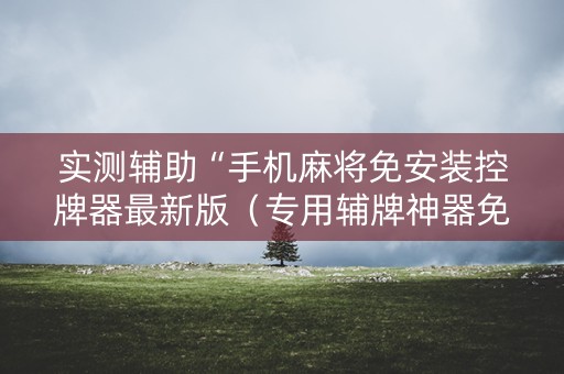 实测辅助“手机麻将免安装控牌器最新版（专用辅牌神器免安装）