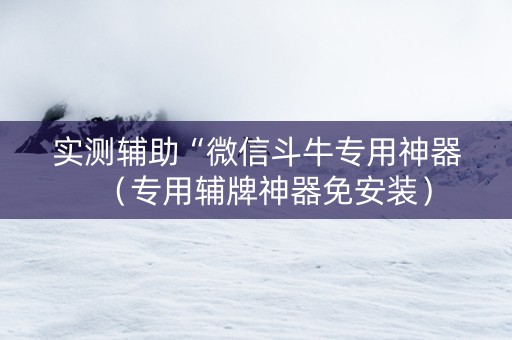 实测辅助“微信斗牛专用神器（专用辅牌神器免安装）