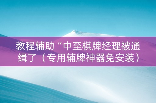 教程辅助“中至棋牌经理被通缉了（专用辅牌神器免安装）