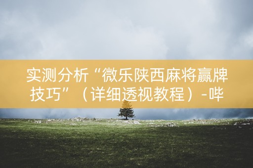实测分析“微乐陕西麻将赢牌技巧”（详细透视教程）-哔哩哔哩