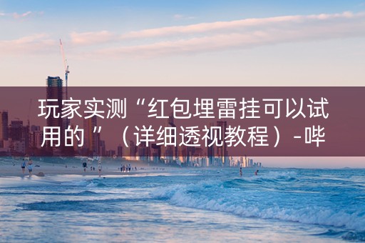 玩家实测“红包埋雷挂可以试用的 ”（详细透视教程）-哔哩哔哩