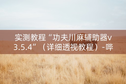 实测教程“功夫川麻辅助器v3.5.4”（详细透视教程）-哔哩哔哩