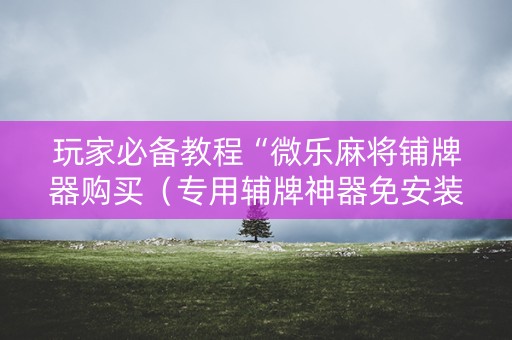 玩家必备教程“微乐麻将铺牌器购买（专用辅牌神器免安装）