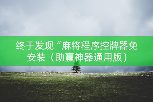 终于发现“麻将程序控牌器免安装（助赢神器通用版）
