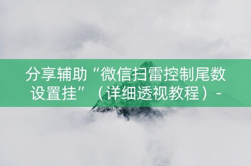 分享辅助“微信扫雷控制尾数设置挂”（详细透视教程）-哔哩哔哩