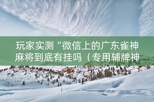 玩家实测“微信上的广东雀神麻将到底有挂吗（专用辅牌神器免安装）