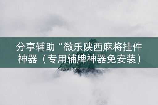 分享辅助“微乐陕西麻将挂件神器（专用辅牌神器免安装）