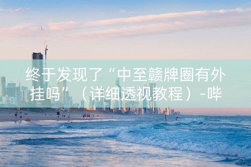 终于发现了“中至赣牌圈有外挂吗”（详细透视教程）-哔哩哔哩