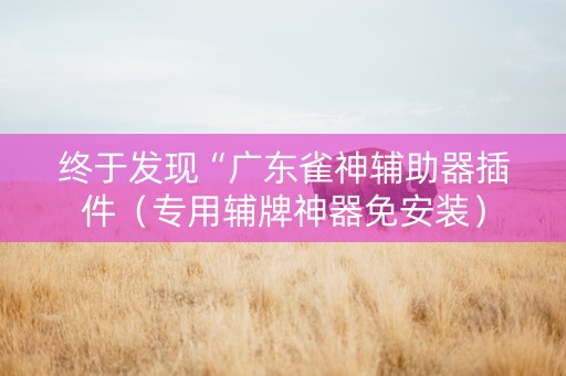 终于发现“广东雀神辅助器插件（专用辅牌神器免安装）
