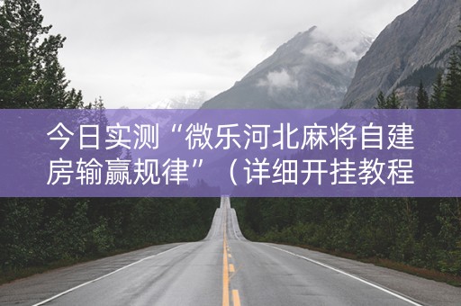 今日实测“微乐河北麻将自建房输赢规律”（详细开挂教程）-哔哩哔哩