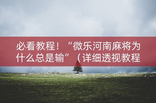 必看教程！“微乐河南麻将为什么总是输”（详细透视教程）-哔哩哔哩