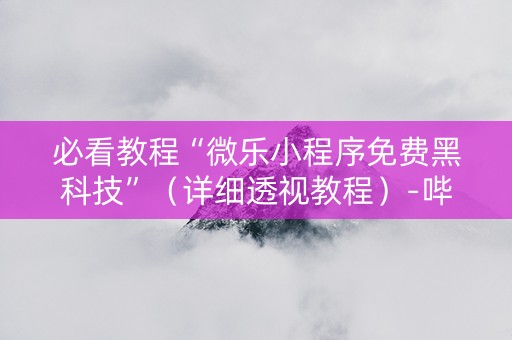 必看教程“微乐小程序免费黑科技”（详细透视教程）-哔哩哔哩