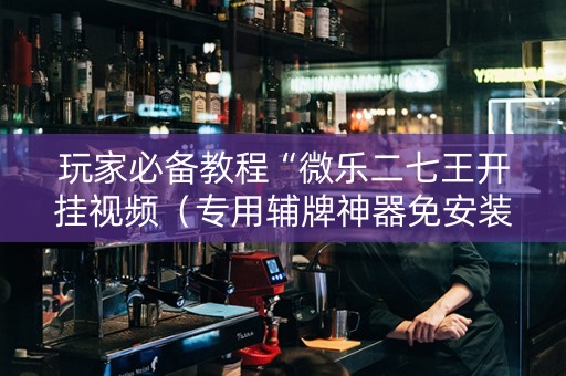 玩家必备教程“微乐二七王开挂视频（专用辅牌神器免安装）