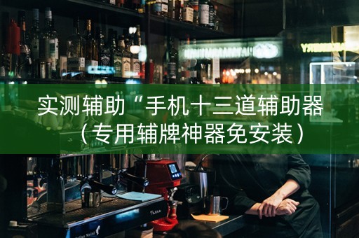 实测辅助“手机十三道辅助器（专用辅牌神器免安装）